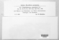 Image Associated With the Occurence